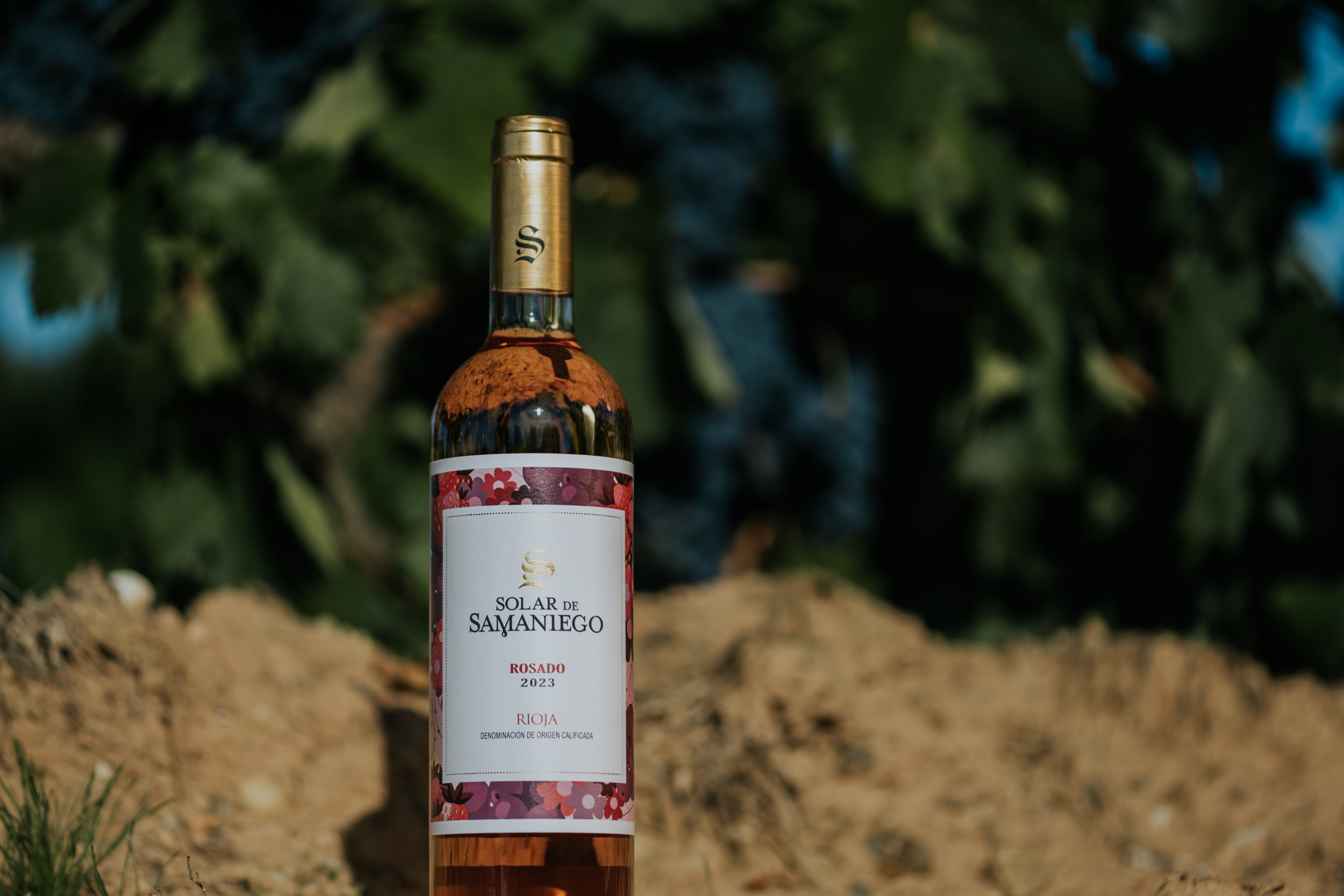 Solar de Samaniego Rosado 2023